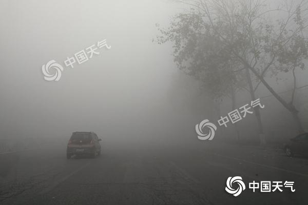 針對(duì)濃霧天氣蘇州美嘉匯食品科技有限公司物流派遣通知